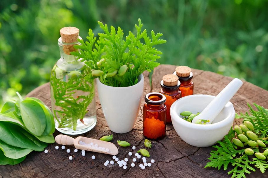 Veg and Vegan: 100% Green Plant-Based by Green Doko 2 Green doko