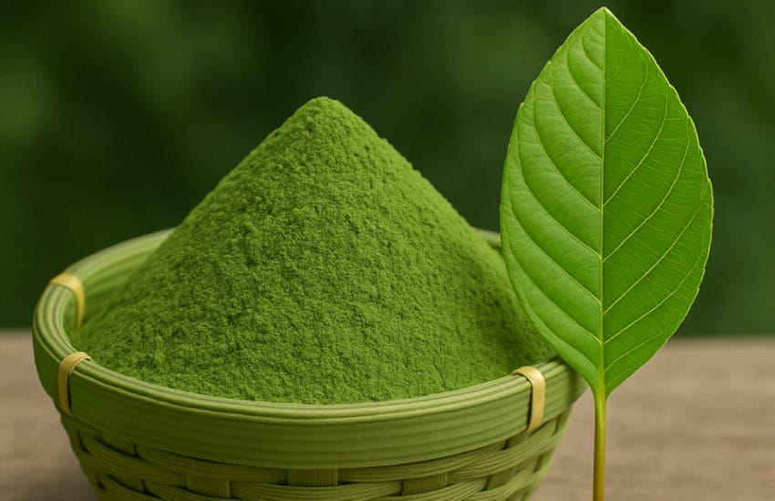 Veg and Vegan: 100% Green Plant-Based by Green Doko 3 veg and vegan